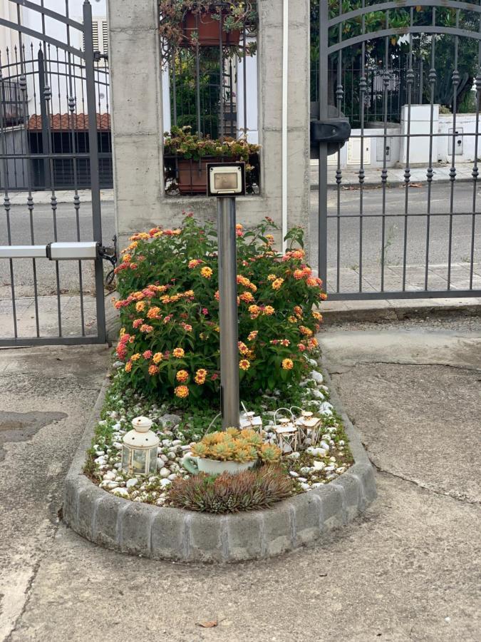 Residence Beatrice Scanzano Jonico エクステリア 写真