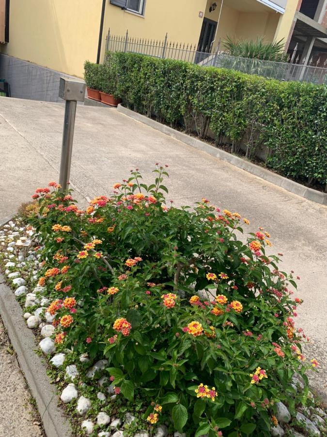 Residence Beatrice Scanzano Jonico エクステリア 写真